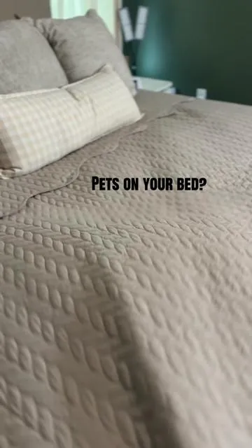Pet friendly bedding?! Sign me up. #bedding #petfriendlybedding 