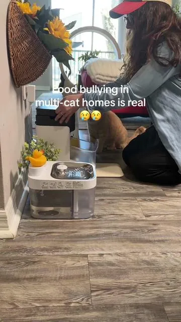 In multi-cat homes, food stealing is a real thing 👀 This RFID feeder only opens for the registered cat, so meals stay separate. It closes when your cat walks away, which helps prevent other cats from jumping in. Each cat gets their own portion and feeding time feels a lot calmer. Pro tip: check your cart for available coupons. #tiktokshopcreatorpicks #TikTokShopSpringGlowUp #Greenish #Tiktokshopstockup  #tiktokshopmothersday 