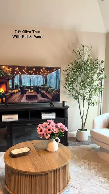 This option includes the pot and moss, grab your size from the link!@vivatrees  #olivetree #olivetreewithpot #olivetreedecor #tiktokshopcreatorpicks #artificialolivetree 