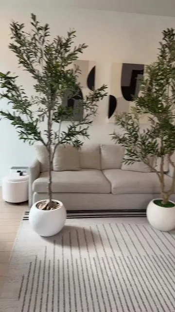 She’s gorgeous and comes with the pot already 😮‍💨 #artificialplants #olivetree #artificialolivetree #fakeplant #tiktokshopcreatorpicks 