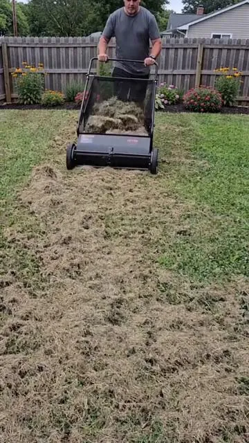 Good#superbrandday #lawncare #cleaning #lawn #sweeper 