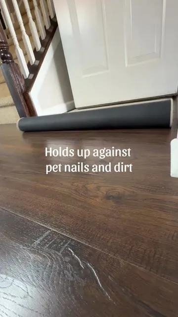 Perfect entryway mat for pets!  #dognails #muddypaws #muddy #entryway #frontdoordecor 