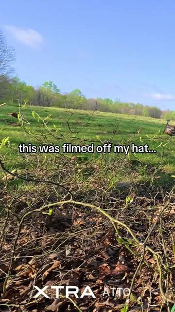 Wasn’t even holding the camera for this… had it clipped to my hat and he came in strutting like this 👀 #turkeyhunting #outdoorlife #huntingseason #pov #hunting