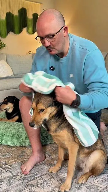 Would you rather dry your dog with 5 of your good towels or 1 of their very own? #dogoutfit #catbathinggroomingbag #aestheticpetproducts #petparentstyle #smallpetselect