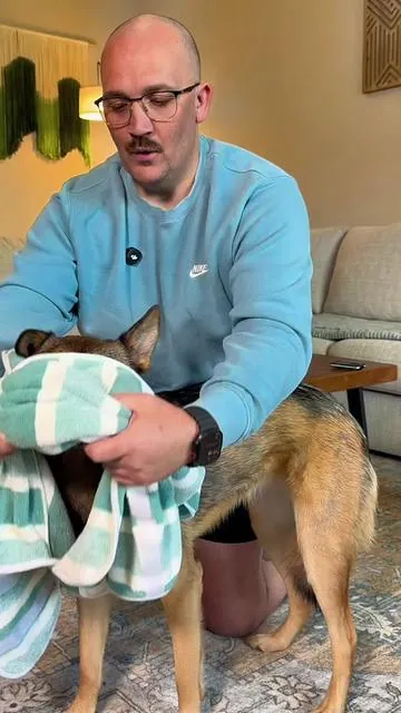 Your dog can go from using 5 of your good towels to just 1 of their very own! #dogoutfit #catbathinggroomingbag #aestheticpetproducts #petparentstyle #smallpetselect
