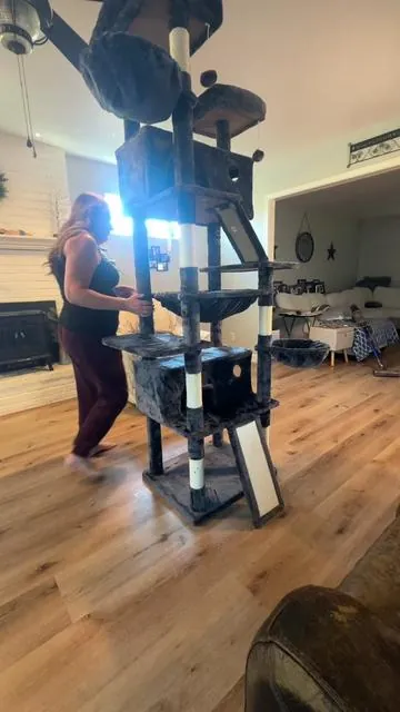 Massive 82 in luxury cat tree! And you won’t find one  this size this cheap in any store! Great deal! #cattree #catlife #catenrichment #weeklydeals #tiktokshopstockup @MUTICOR 