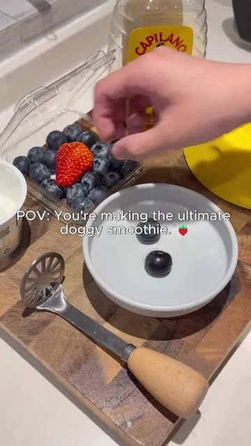 Making the ultimate doggy smoothie🍓🫐🐶#dogsoftiktok #Dogenrichment #PetHacks #dogmomlife #dogtok 