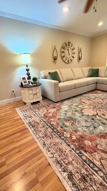 #arearug #rug #washablerugs #bestsweetierug #rugs 