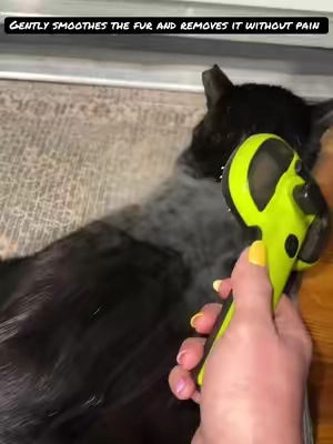 This steam brush is so gentle my stray cat Panther Cat not only tolerated it but loved it! He was purring, no fear! This brush smoother the fur and removes it easier than typical brushes!   #catsoftiktok #catgroomer #petbrush #catmomlife  #cat 