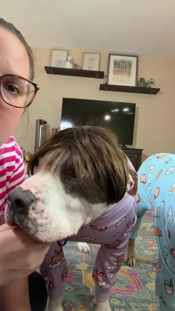 #greenish #tiktokshop #dogmom #pitbull 