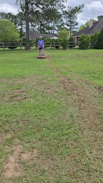#dethatchingthelawn #scarifier #vevor #tiktokshopcreatorpicks #tiktokshopspringglowup @VEVOR Store 