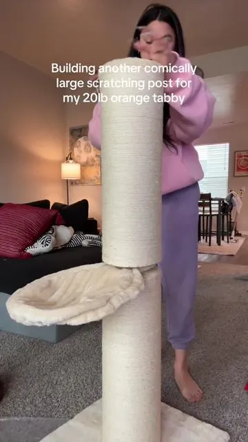 Anything for the cats amirite? #cattok #cattower #orangetabby 