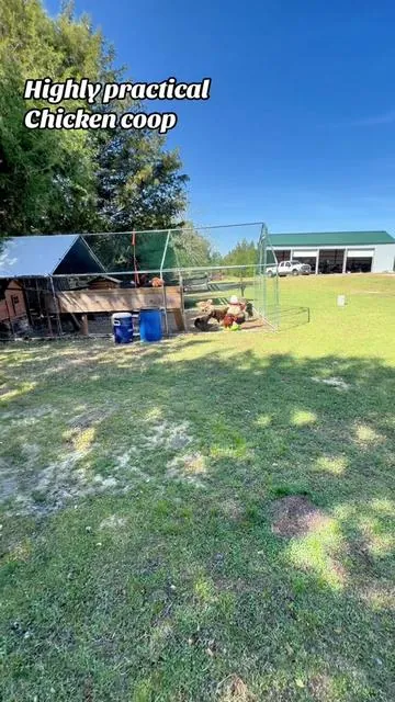 The easiest way to have a highly functional chicken coop! @VEVOR Store #chickencoop #chickencoopideas #backyardchickens #tiktokshopcreatorpicks #greenish 