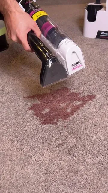 What’s the best stain remover? #stainremover #Greenish #petstains #stains #cleaning 
