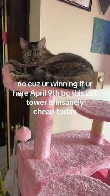 7626374634824273166