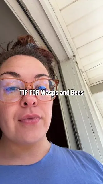 We normally have so many wasps and bees and flies all over the place. Since I put these up, fingers crossed it’s not a fluke, there’s def been less.  Worth a try!  #tiktokshopcreatorpicks 