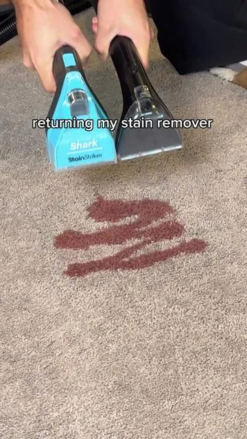 Learn from my mistakes 😅 #stainremover #Greenish #tiktokshopcreatorpicks #petstains #cleantok 