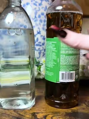 #CleanTok #pine #cleaner ##Disinfect##FruitFlies