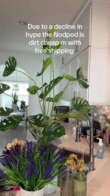 Great deal today #tiktokshopcreatorpicks 
