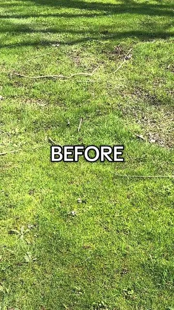 Stunning BEFORE and AFTER thanks to my @VEVOR Store tow behind lawn sweeper. It helped me quickly pick up all the little sticks and twigs in my backyard and I didn’t have to stoop down to grab them. A definite back and time saver for spring, summer and fall. #tiktok #shopping #tiktokshop #creatorsearchinsights #creatorpicks 