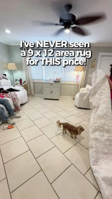This rug AND THE PRICE are AMAZING! 🤩 Have pets or kids? You need a stain resistant washable rug! #arearug #arearugcleaning #creatorsearchinsights product recommendation #productrecommendation #washablerug 