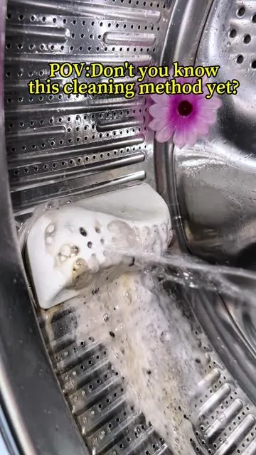 Eco-Cleaning to Protect the Whole Family! SOPAMI Washing Machine Cleaner Removes Pet Hair & Odors for a Healthier Life #ProtectFamily #EcoCleaning #PetHairSolutions #WashingMachineCare #HealthierLife 