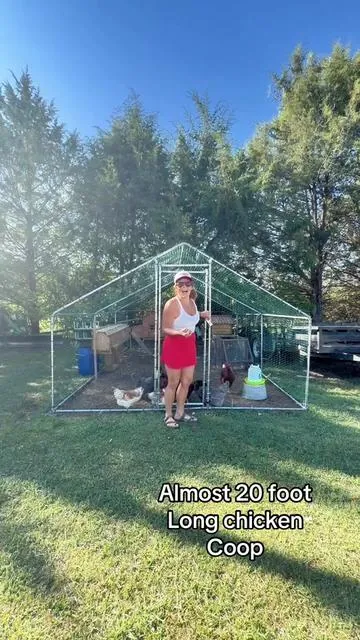 It’s the easiest way to keep a happy healthy flock. @VEVOR Store #vevor #chickencoop #backyardchickens #chickenrun #tiktokshopcreatorspicks 