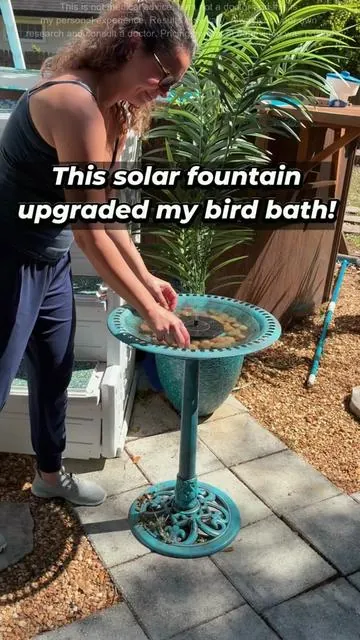This great little solar fountain totally upgraded my birdbath. #springdecor #gardentiktok #summermusthaves #birdbath #birdwatching 