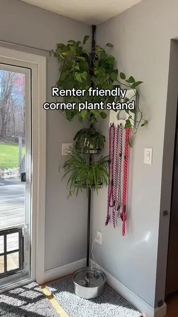 The perfect way to add plants to a corner! #plantstand #plantshelf #plantmom #plantstands #diyplantstand 