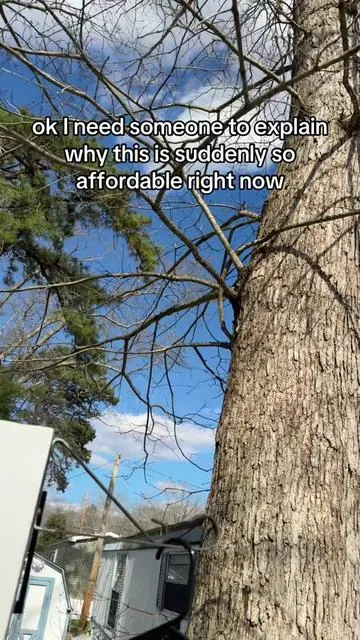 7628072220790656269