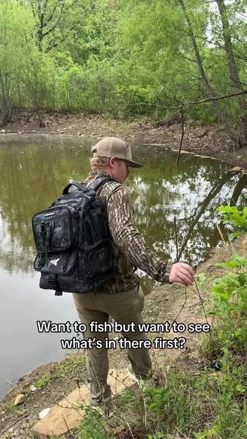 🐟🐟