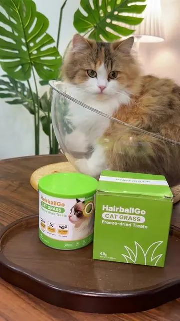A responsible pet parent doesn’t wait for dry heaving to start ，they act early to protect their cat’s health！#catlovers #pethealth #cat #freezedried #catgrass 
