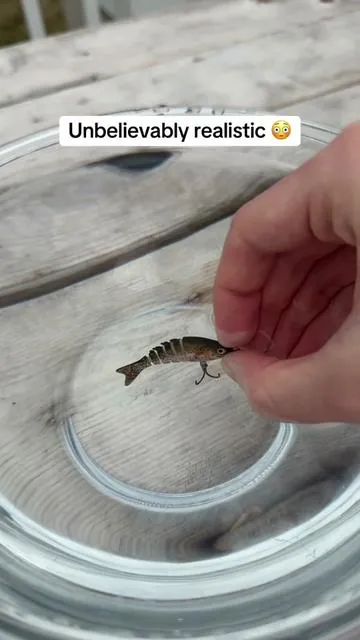 One of the most realistic swimbaits I’ve used!👏The six-jointed design and ultra-sharp treble hooks make these perfect for bass and trout! #fishinglures #fishinggear #bassfishing #lure #TikTokShopCreatorPicks 