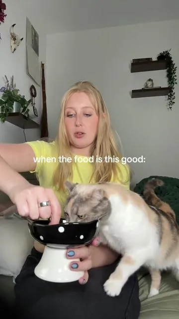 Gotta fight the picky eater off  #catallergies #catmomlife #petcare #allergyfriendly #tiktokshopcreatorpics 