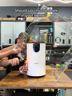 #airpurifier #shark 