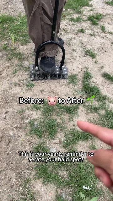 A friendly reminder about your lawn…⚠️#lawn #lawncare #aeration #rifpod #yardwork 