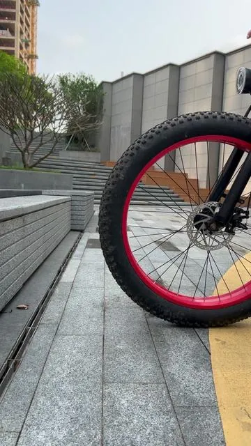 2026自行车唯一明智的选择#Eoeotwo #ebike #ebikes #bike #celebrateeveryride 