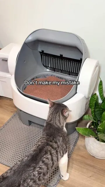 Automatic litter box that makes cat care so much more low-maintenance 🐾 it cleans itself after each use, holds multiple days of waste, and just keeps everything way more manageable day to day—especially if you’re busy or have more than one cat. #selfcleaninglitterbox #automaticlitterbox #catmomlife #petcareessentials #homehacks 
