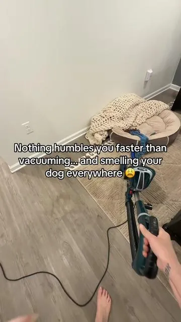 If your house smells worse after you vacuum… it’s not you, it’s your vacuum 😭 this little hack  completely changed the way my house smells while I clean and I’m never going back #vacuumscentpads  #CleanTok #HomeHacks #PetOwners #TikTokMadeMeBuyIt