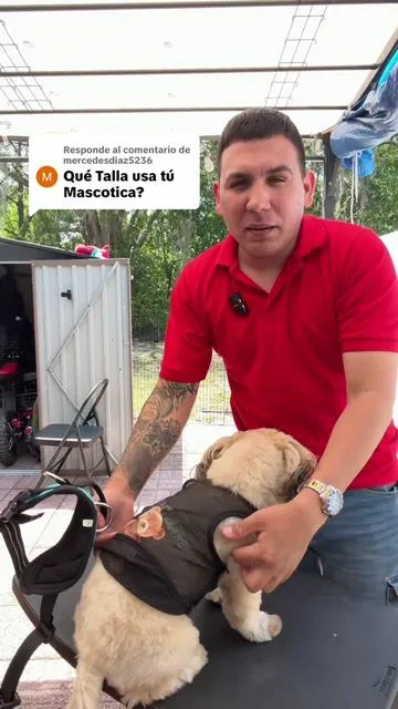 Respuesta a @mercedesdiaz5236 #dogharness #correaparaperros #dogparents #tiktokshopcreatorpicks #perro 