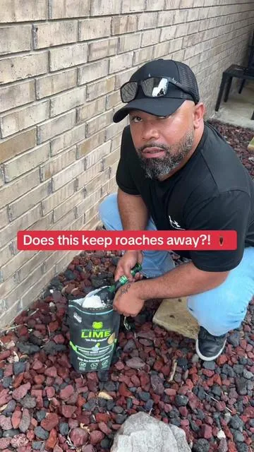 Organic, safe for gardens. No poison, safe for pets. What’s not safe? All those pesky bugs you don’t want entering your home. Spiders, roaches, ants, etc. #firstsaturdaylime #insectrepellent #ecofriendly #bugrepellent #organic 