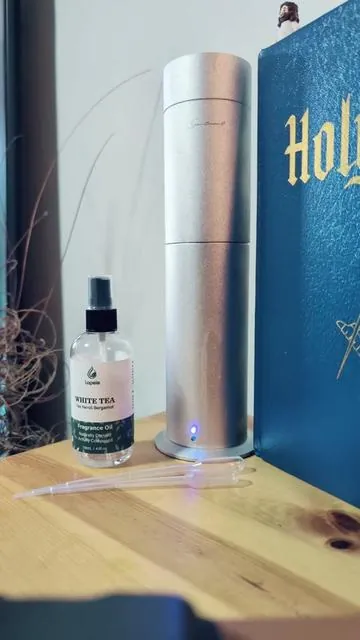 #diffuser #oil #hotelscent #savings #fyp 