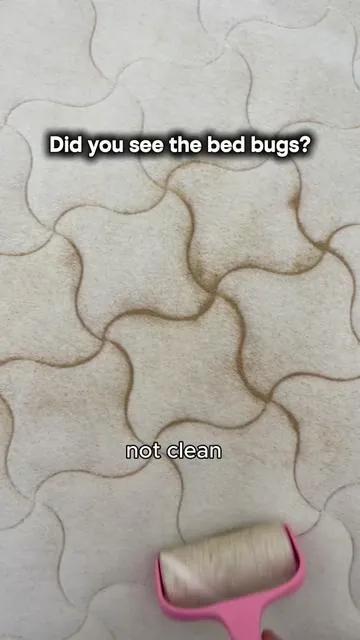 Sleep better with a dust mite vacuum! Removes dust, allergens, and pet hair for a cleaner, healthier mattress 🛏️ #dustmites #bedcleaning #allergyrelief #cleanhome #mitevacuum   