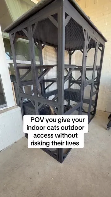 Added a cat window for free access to the house. Painted it black. #catio #indoorcats #catmom #catsoftiktok #cutecats 