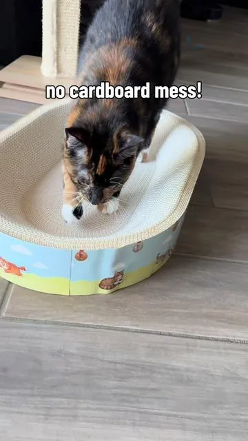 Replying to @littlegreytabby yes! For cats that prefer the cardboard type scratchers especially! #bigdreamsstartsmall #bigdreamstartsmall #catscratcher #scratcher #catbed 