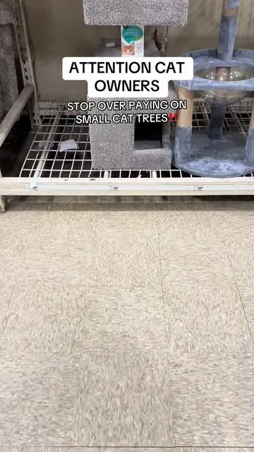 I wanted the leopard print one but they’re always sold out😩 anyways cat owners tap in!! #catsoftiktok #cattree #catlover #cattok 