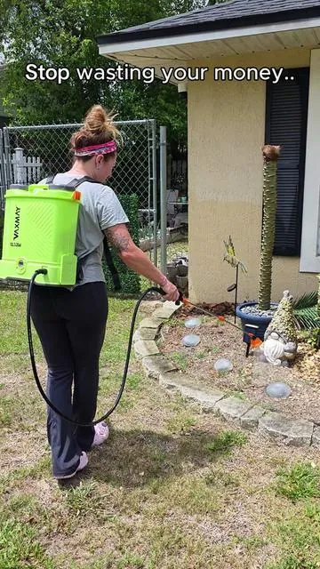 3.2 gallon battery powered backpack sprayer! 🤯 #backpacksprayer  #backpacksprayers  #tiktokshopcreatorpicks  #insectrepellent  #summermusthaves 