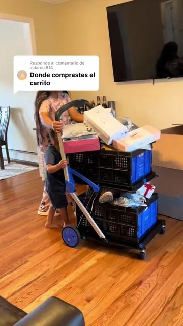 Respuesta a @aidaruiz814 carreta de compras 
