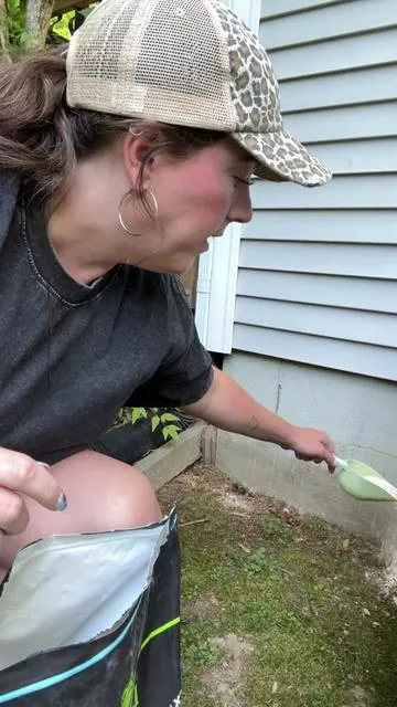 So glad to have found an alternative to harsh chemicals in bug sprays! Plus it's safe for pets, kids, and plants in your garden! #firstsaturdaylime #yardwork #insectrepellent #tiktokshopmothersday #tiktokshopstockup Organic insect repellent Organic bug repellent Non tox insect repellent @First Saturday Lime Insect Repellent  Yard work essentials Summer outdoor necessities