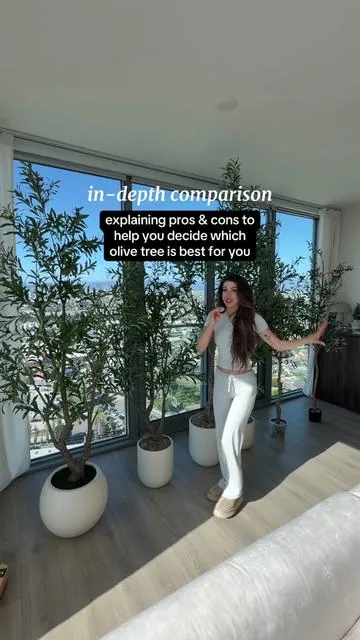 Replying to @Nikki everything you need to know to help you decide which olive tree is best for you (and how to easily make any olive tree taller) 🤍 there are pros and cons to all of these! I’ve tried MANY brands and this one is my absolute favorite. They’re all high-quality and realistic, and I love that they’re artificial so you don’t have to actually take care of them and they’ll last for YEARS :) #tiktokshophome ##tiktokshophomefinds##olivetree##tiktokshophomedecor##tiktokshopcreatorpicks